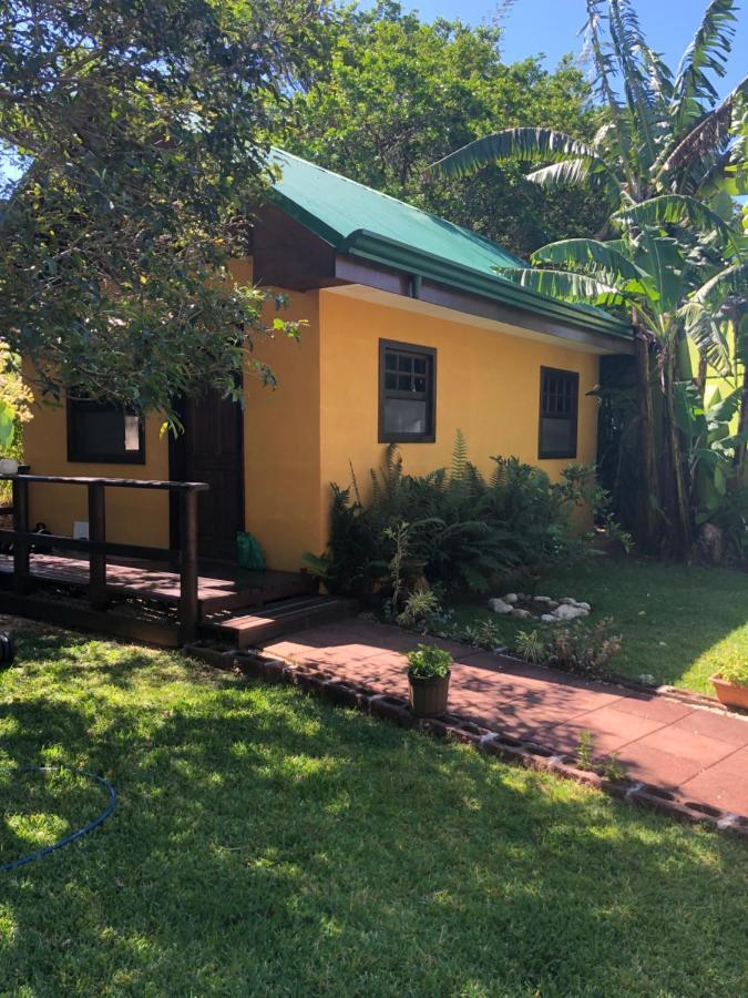 Bed and Breakfast Airport Rio Segundo Studio Алахуела Екстер'єр фото